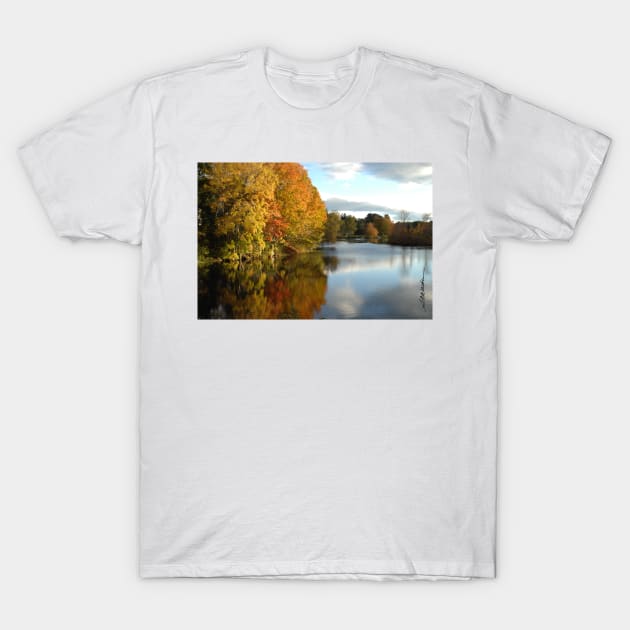 A Touch of Autumn T-Shirt by srwdesign